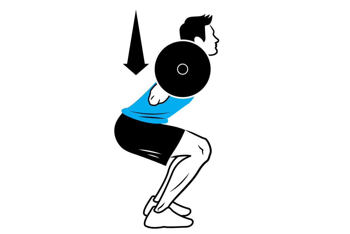 illustration of a barbell squat